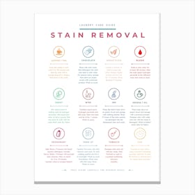 Stain Removal Instruction Colorful Canvas Print
