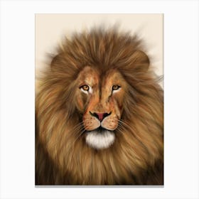 Colour Lion Portrait Canvas Print