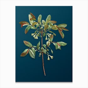 Vintage Honeyberry Flower Botanical Art on Teal Blue n.0755 Canvas Print