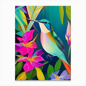 Calliope Hummingbird Abstract Still Life Canvas Print