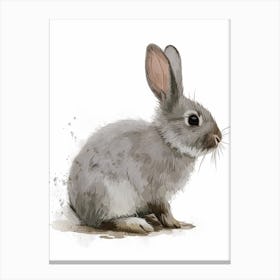 Himalayan Rabbit Nursery Illustration 3 Canvas Print