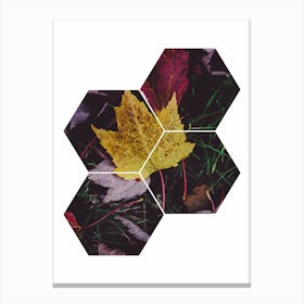 Leaf and Grass Hexagon Abstract Canvas Print