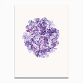Flower I Canvas Print
