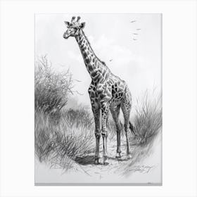 Lone Giraffe In The Wild 2 Canvas Print