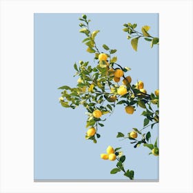Summer Lemon Tree Illustration Canvas Print