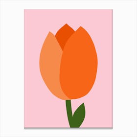 Tulip Pastel Pink And Orange Canvas Print