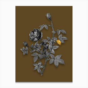 Vintage Moss Rose Black and White Gold Leaf Floral Art on Coffee Brown n.0976 Canvas Print