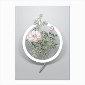 Vintage Ventenat's Rose Minimalist Floral Geometric Circle on Soft Gray n.0526 Canvas Print
