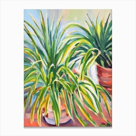 Spider Plant Impressionist Painting Canvas Print