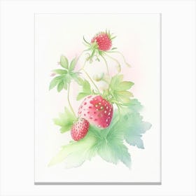 Wild Strawberries, Plant, Gouache Canvas Print