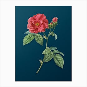 Vintage Apothecary Rose Botanical Art on Teal Blue Canvas Print