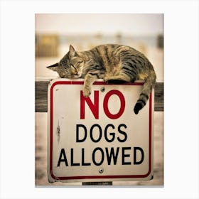 No Dogs Allowed Sign Canvas Print