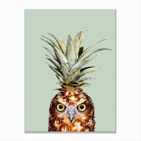 Pineapple Owl Canvas Print