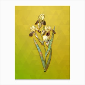 Vintage Elder Scented Iris Botanical Art on Empire Yellow n.0980 Canvas Print