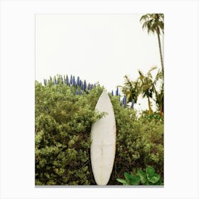 The Surfboard in California Canvas Print