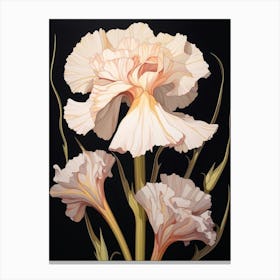 Flower Illustration Carnation Dianthus 6 Canvas Print