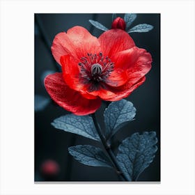 Red Anemone Flower Canvas Print