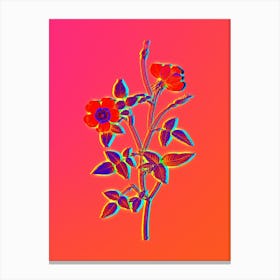 Neon Indica Stelligera Rose Botanical in Hot Pink and Electric Blue n.0100 Canvas Print