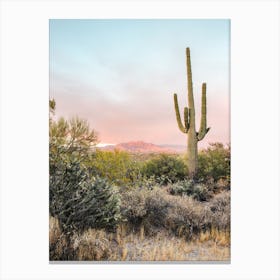Desert Sunset 1 Canvas Print