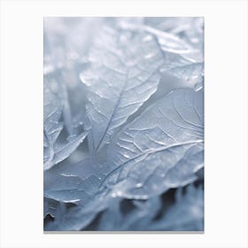 Ice Leaves Canvas Print