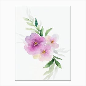Cherry Blossom Watercolour Flower Canvas Print