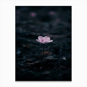 Flower In The Dark 7 Canvas Print