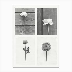 Ranunculus Flower Photo Collage 2 Canvas Print