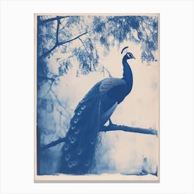 Peacock In The Tree Cyanotype Inspired 6 Canvas Print