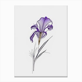 Iris Floral Minimal Line Drawing 4 Flower Canvas Print