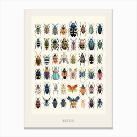 Colourful Insect Illustration Beetle 19 Poster Canvas Print