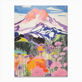 Mount Rainier United States 3 Colourful Mountain Illustration Canvas Print