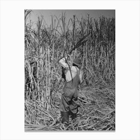 Cutting Sugarcane Near New Iberia, Louisiana By Russell Lee 1 Canvas Print