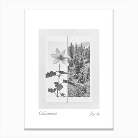 Columbine Botanical Collage 3 Canvas Print