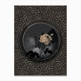 Shadowy Vintage White Provence Rose Botanical in Black and Gold 1 Canvas Print