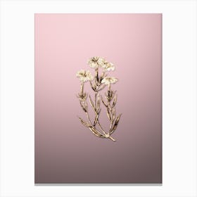 Gold Botanical Prince Bisignano's Tree Pink on Rose Quartz Canvas Print
