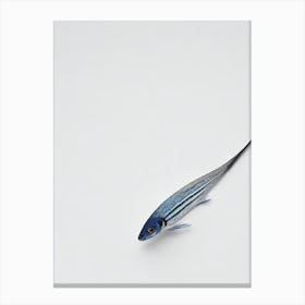 Bluestreak Cleaner Wrasse Black & White Drawing Canvas Print