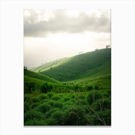 Green Hills In The Rain Forest Canvas Print