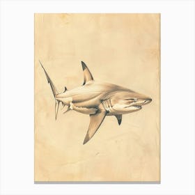 Phoebefy A Pencil Crayon Drawing Of A Shark Centred 1970prese 2195bb1a Fbb7 4268 9d5c 8ad9e61ce27a 2 Canvas Print