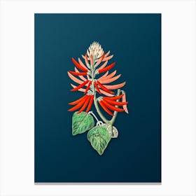 Vintage Naked Flowering Erythrina Botanical Art on Teal Blue Canvas Print