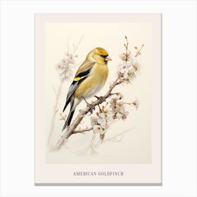 Vintage Bird Drawing American Goldfinch 2 Poster Canvas Print