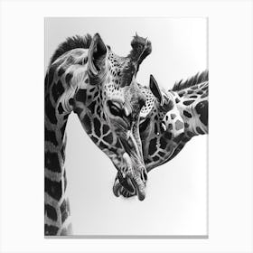 Pencil Portrait Of Two Giraffes 2 Canvas Print