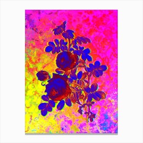 Sulphur Rose Botanical in Acid Neon Pink Green and Blue n.0245 Canvas Print