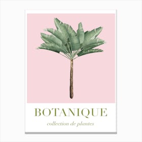 Botanique Pink And Green Canvas Print