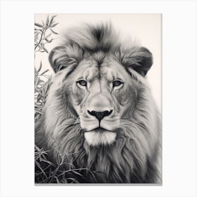 African Lion Realism Portrait 4 Canvas Print