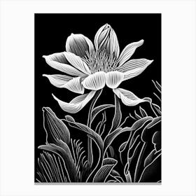 Bloodroot Wildflower Linocut Canvas Print