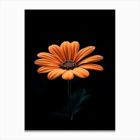 Orange Flower 19 Canvas Print