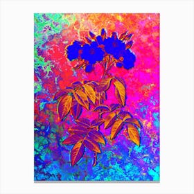 Musk Rose Botanical in Acid Neon Pink Green and Blue n.0132 Canvas Print