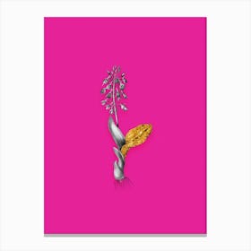 Vintage Brown Widelip Orchid Black and White Gold Leaf Floral Art on Hot Pink n.0267 Canvas Print