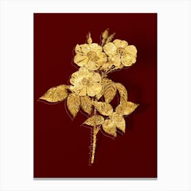 Vintage Rose of Castile Botanical in Gold on Red n.0360 Canvas Print