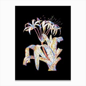 Stained Glass Crinum Erubescens Mosaic Botanical Illustration on Black Canvas Print